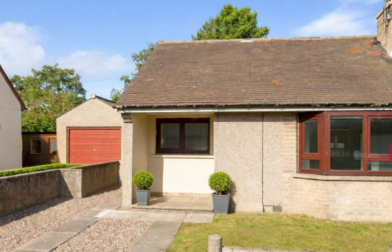 Investment Potential photo